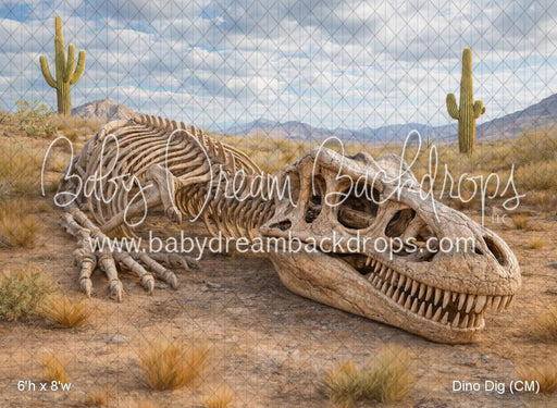 Dino Dig (CM)