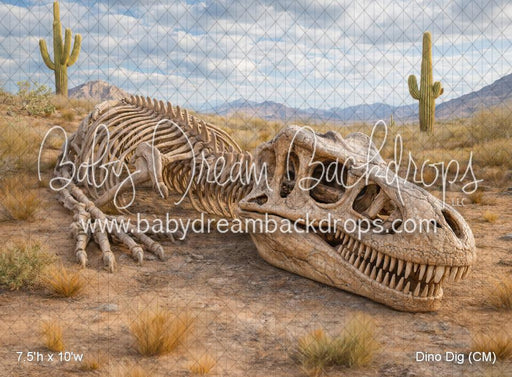 Dino Dig (CM)