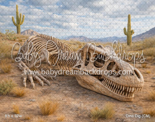 Dino Dig (CM)