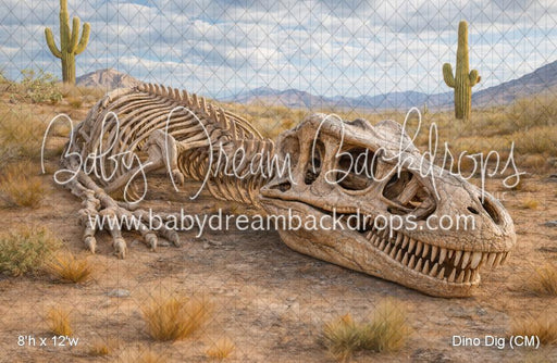 Dino Dig (CM)