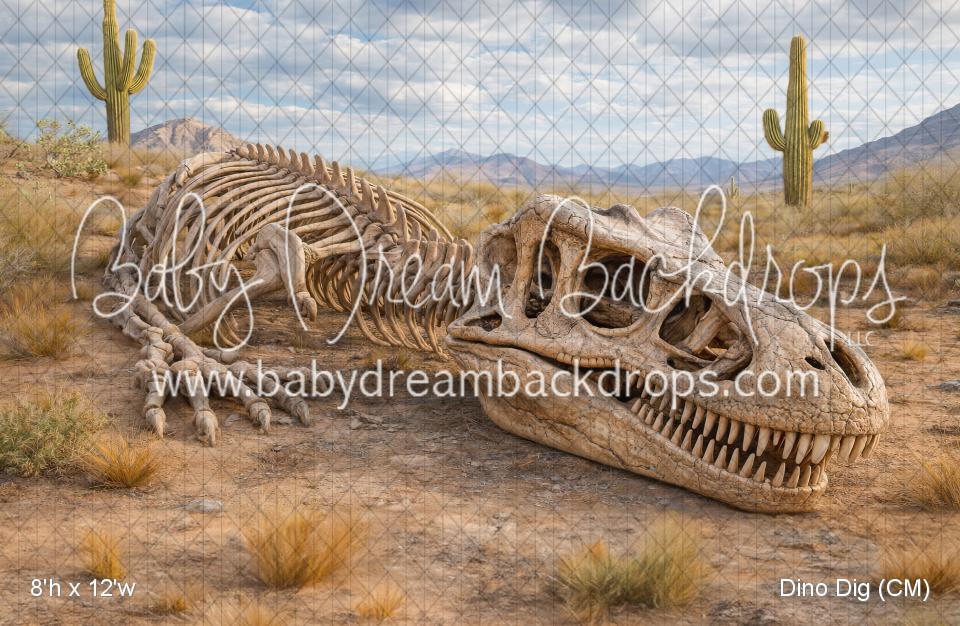 Dino Dig (CM)
