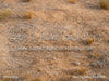 Dino Dig Fabric Floor (CM)