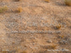 Dino Dig Fabric Floor (CM)