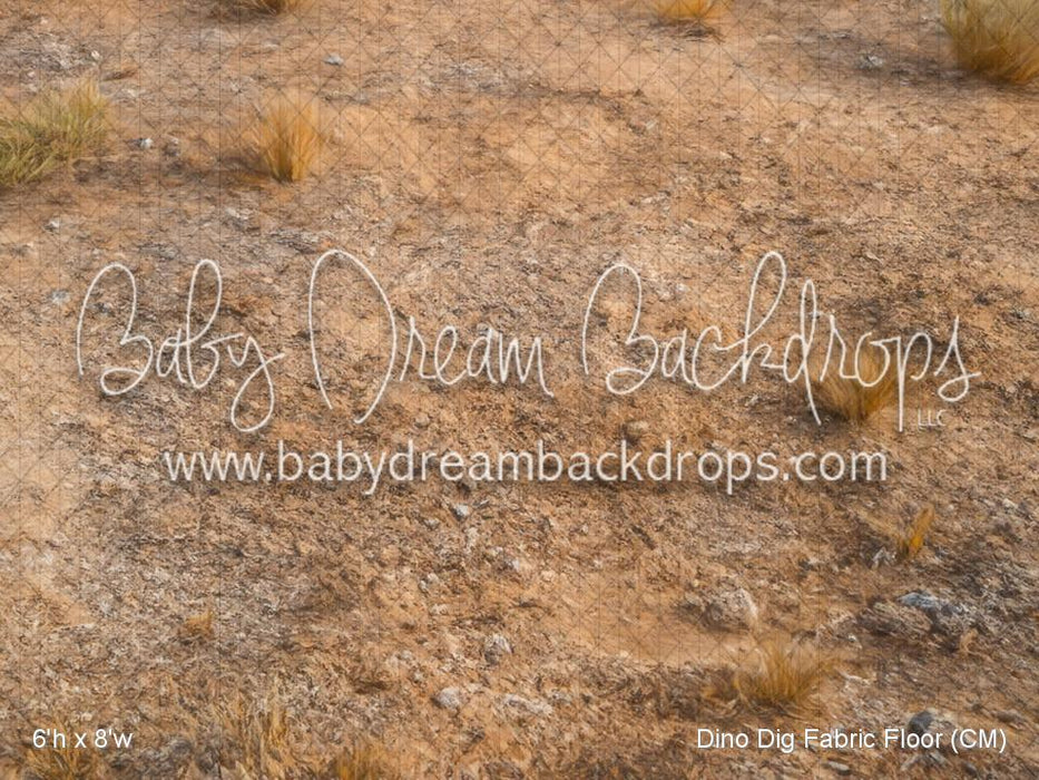 Dino Dig Fabric Floor (CM)