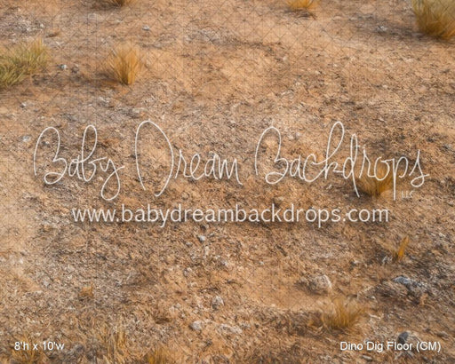 Dino Dig Floor (CM)