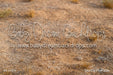 Dino Dig Fabric Floor (CM)