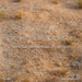 Dino Dig Fabric Floor (CM)