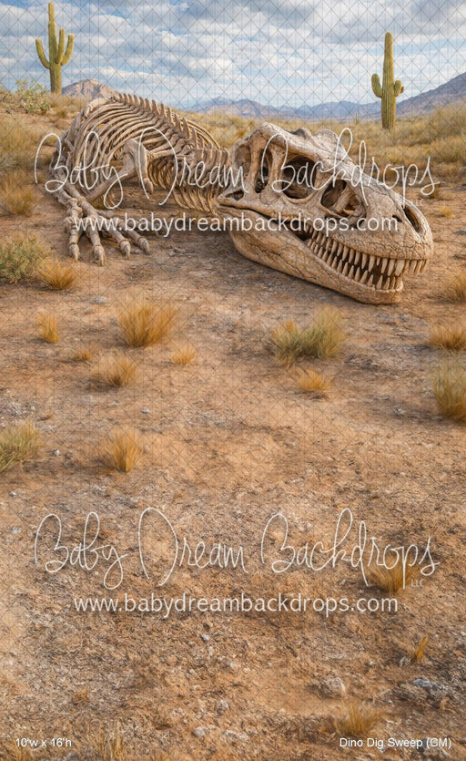 Dino Dig Sweep (CM)