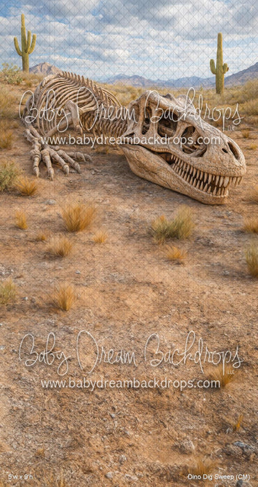 Dino Dig Sweep (CM)
