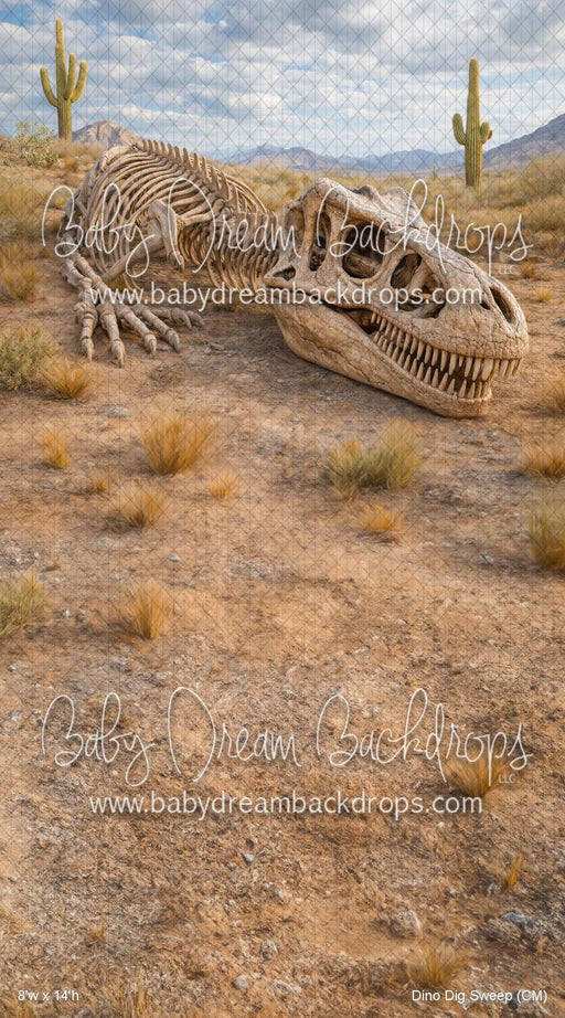 Dino Dig Sweep (CM)