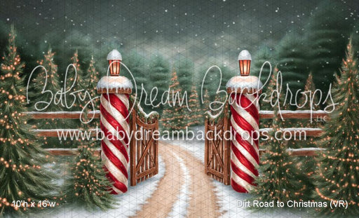 Dirt Road to Christmas (VR)