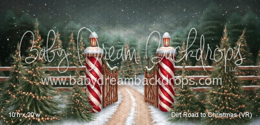 Dirt Road to Christmas (VR)