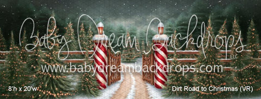 Dirt Road to Christmas (VR)