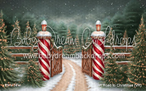 Dirt Road to Christmas (VR)