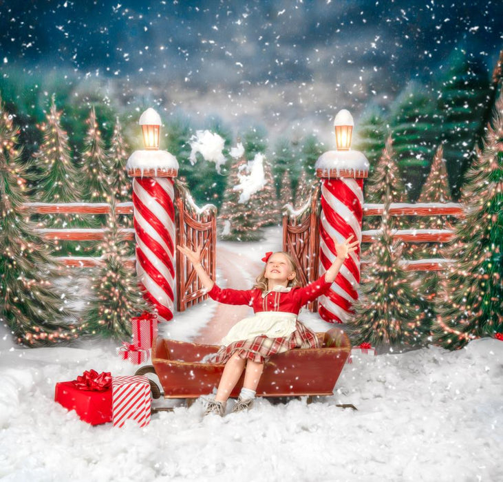 Dirt Road to Christmas (VR)