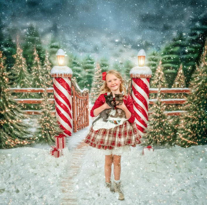 Dirt Road to Christmas (VR)