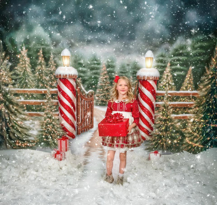 Dirt Road to Christmas (VR)