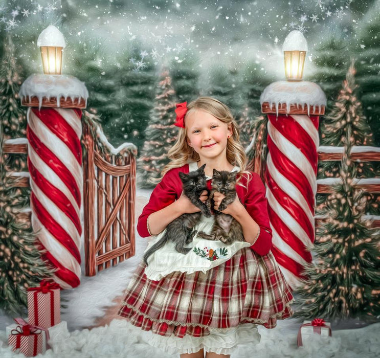 Dirt Road to Christmas (VR)