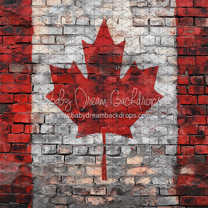 Distressed Canadian Flag Brick (JA)