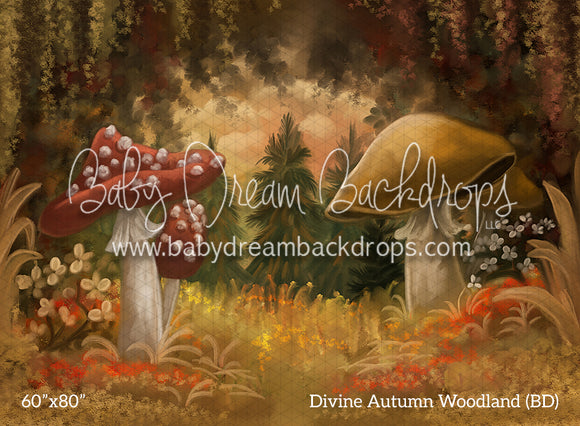 Divine Autumn Woodland (BD)