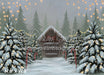Divine Christmas Cottage (BD)