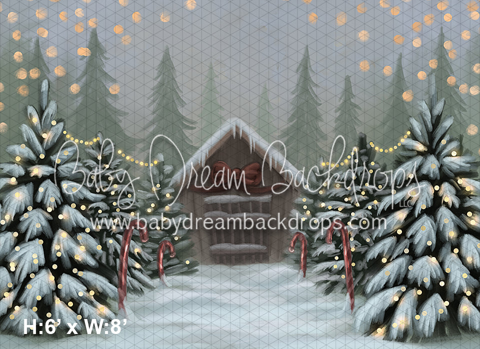 Divine Christmas Cottage (BD)