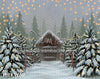 Divine Christmas Cottage (BD)