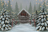 Divine Christmas Cottage (BD)