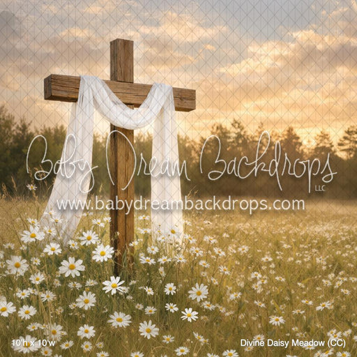 Divine Daisy Meadow (CC)