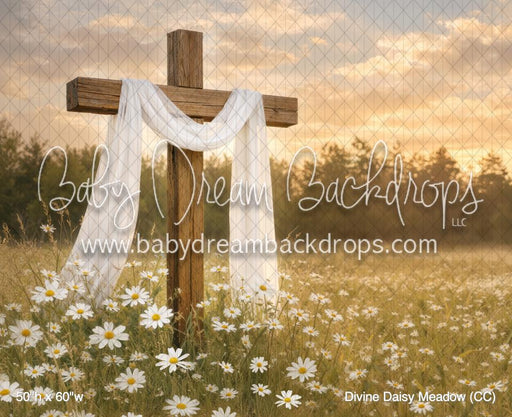 Divine Daisy Meadow (CC)