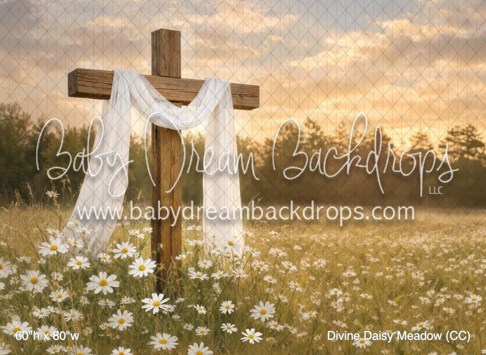 Divine Daisy Meadow (CC)