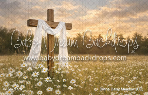 Divine Daisy Meadow (CC)