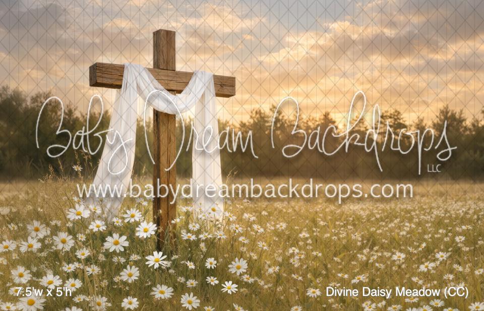 Divine Daisy Meadow (CC)