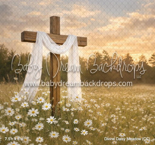 Divine Daisy Meadow (CC)