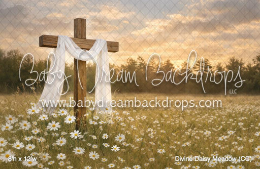 Divine Daisy Meadow (CC)