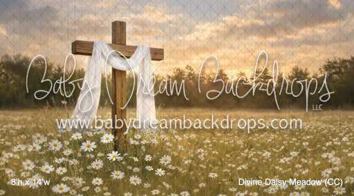 Divine Daisy Meadow (CC)