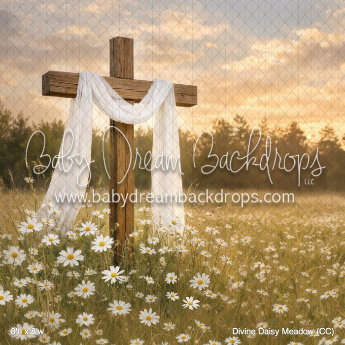 Divine Daisy Meadow (CC)