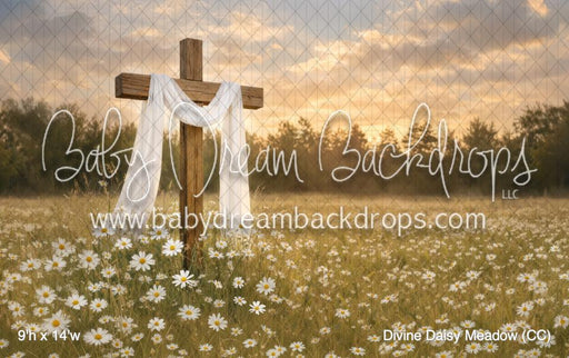 Divine Daisy Meadow (CC)