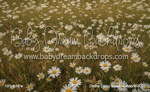 Divine Daisy Meadow Fabric (CC)
