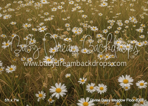 Divine Daisy Meadow Fabric Floor (CC)