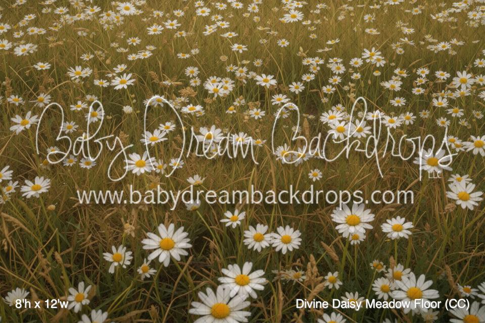 Divine Daisy Meadow Floor (CC)