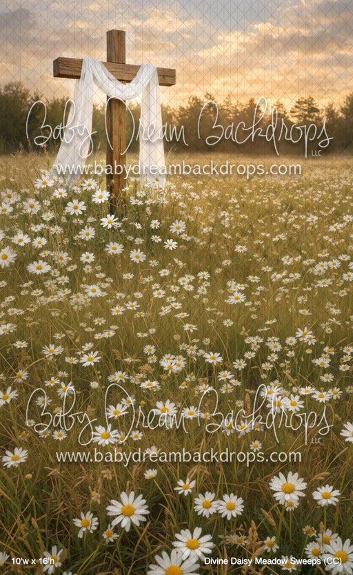 Divine Daisy Meadow Sweeps (CC)