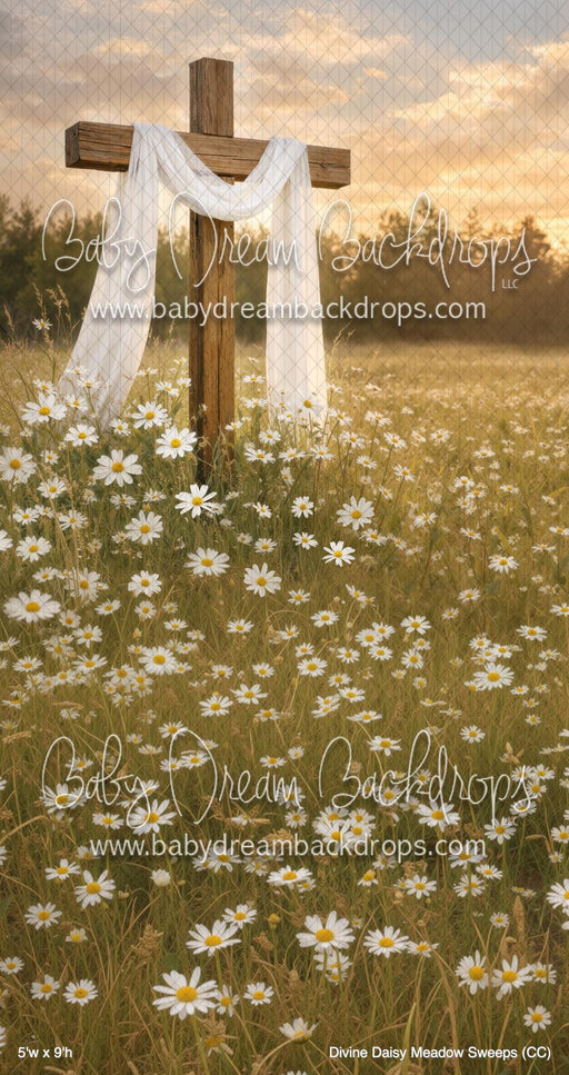 Divine Daisy Meadow Sweeps (CC)