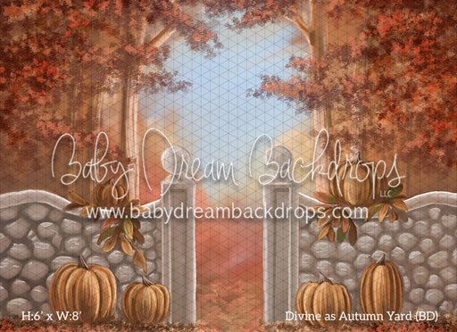Divine as Autumn Yard (BD)