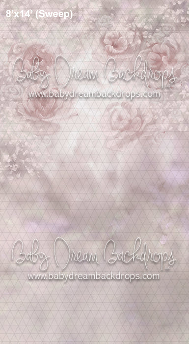 Sweeps Divine June Rose