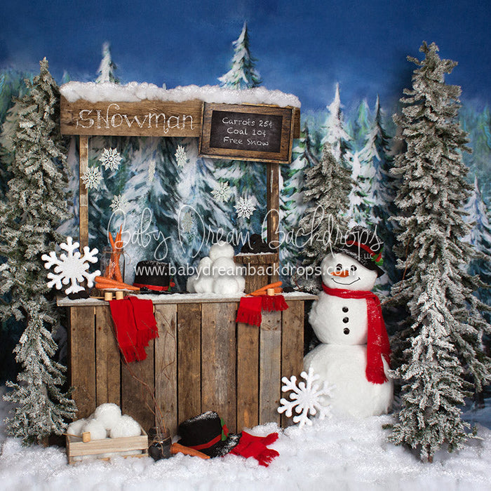 Do You Wanna Build a Snowman