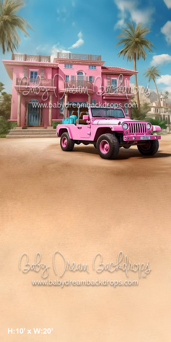 Dolly House Sweep (BD)