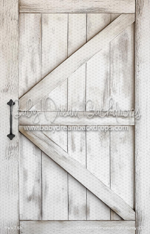 Door Barn Homestead Right Skinny (CC)