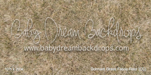 Dormant Grass Fabric Floor (CC)