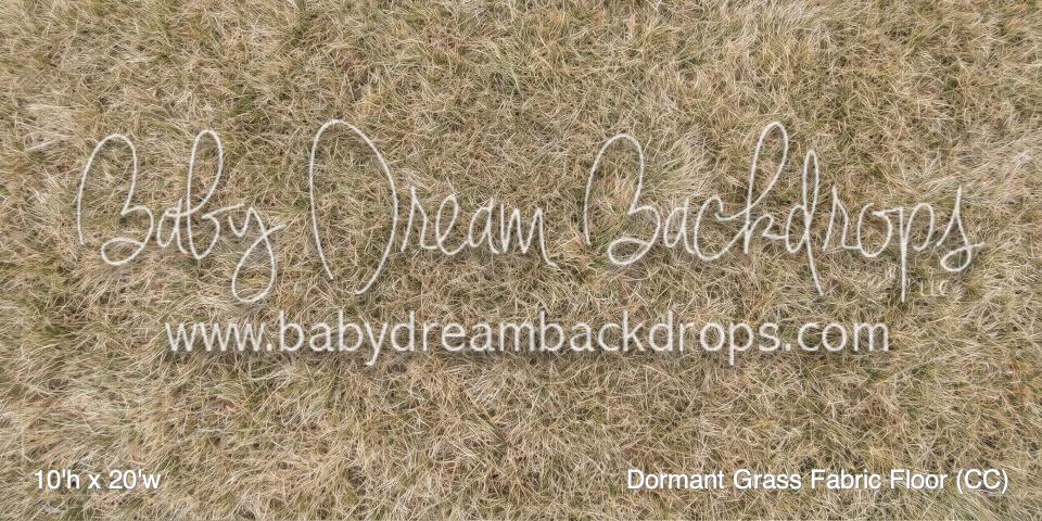 Dormant Grass Fabric Floor (CC)
